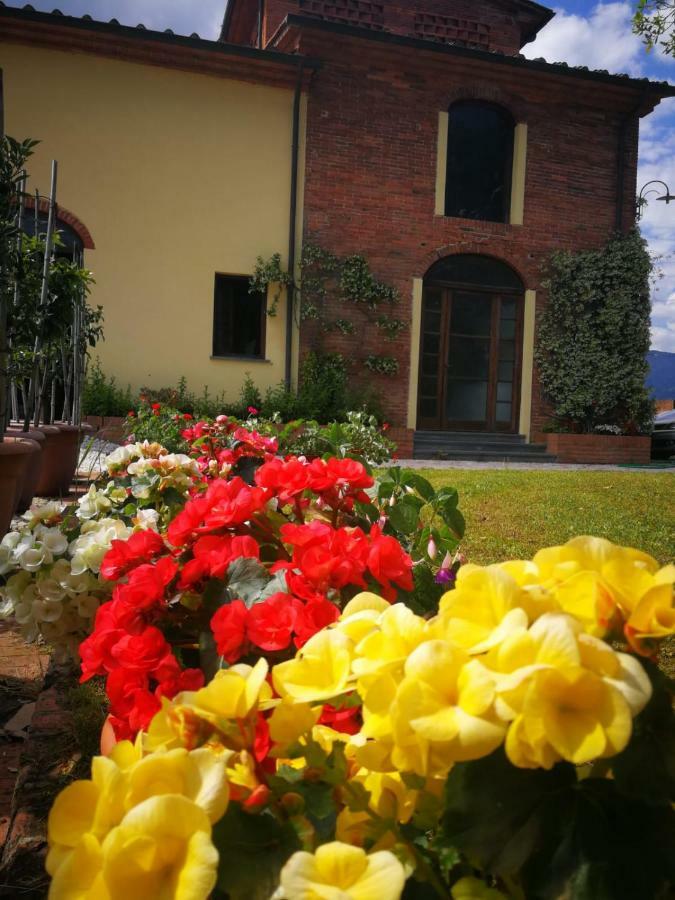 B&B La Fornace Del Sole Capannori Dış mekan fotoğraf