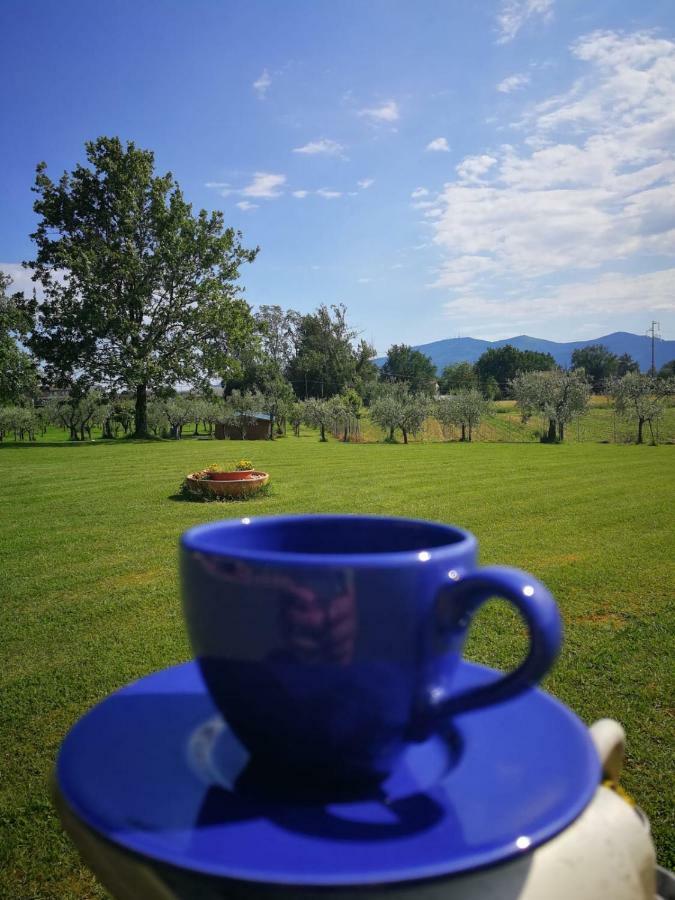 B&B La Fornace Del Sole Capannori Dış mekan fotoğraf