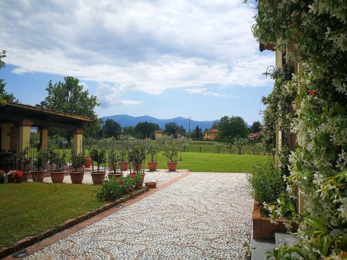 B&B La Fornace Del Sole Capannori Dış mekan fotoğraf